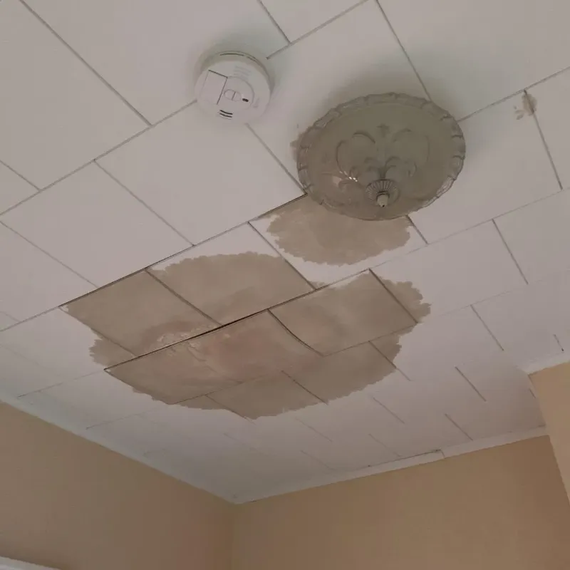Ceiling Water Damage Repair in Mount Repose, OH
