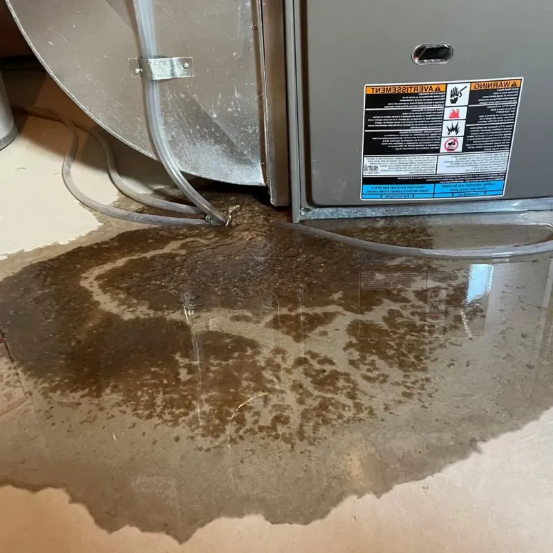 Pipe Burst and Leak Restoration in Mount Repose, OH