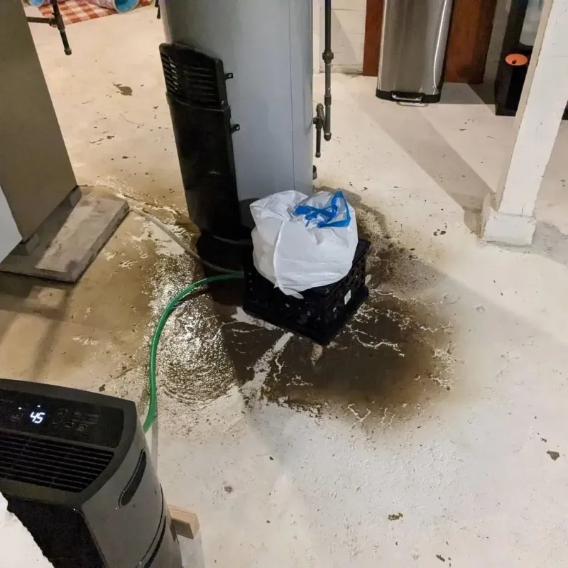 Sewage Backup Cleanup Service in Mount Repose, OH